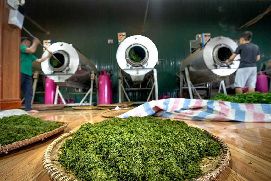 milk oolong tea brewing guide
