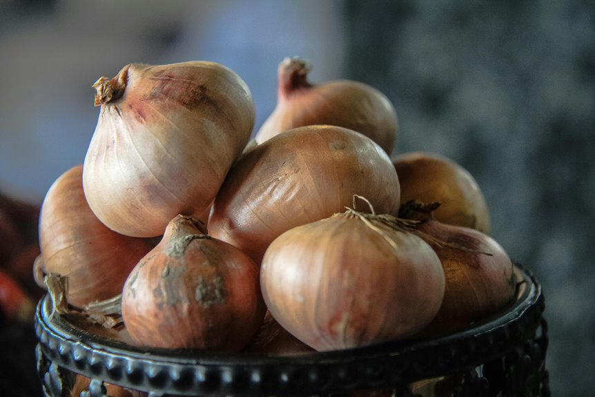 small pickled cocktail onions guide